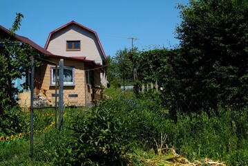 Fototapeta na wymiar small rural building in the garden