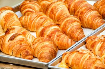 Closed up delicious croissant bakery in they tray after cooked and get out from the oven
