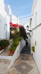 Fototapeta premium street in village city