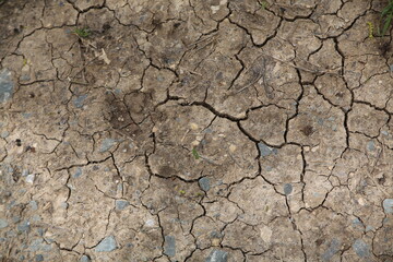 Drought, dry lake bed (focus on the earth)