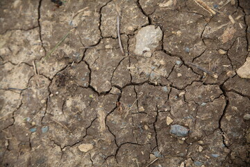 Drought, dry lake bed (focus on the earth)