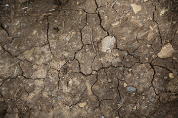 Drought, dry lake bed (focus on the earth)
