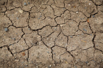Drought, dry lake bed (focus on the earth)