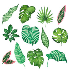 Wild tropical leaves collection. Hand drawn watercolor illustration. - 435188766