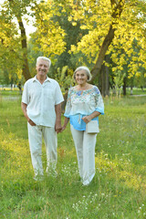 Fototapeta premium Portrait of beautiful happy senior couple in the park