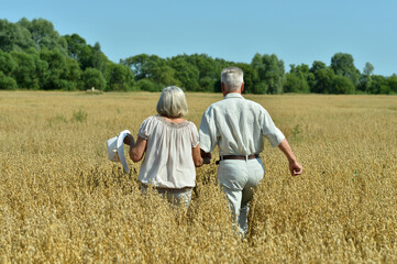 Naklejka na ściany i meble Back view. Happy elderly couple resting in field