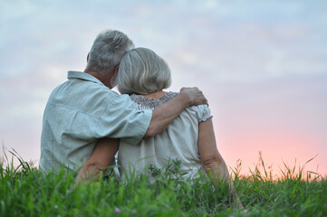Back view. Happy elderly couple at sunset