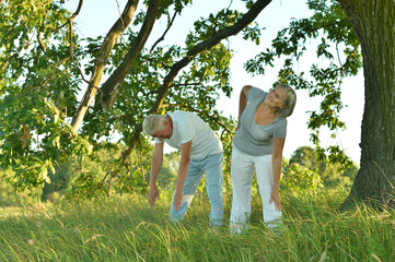 fit senior couple exercising  in park