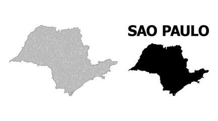 Polygonal mesh map of Sao Paulo State in high detail resolution. Mesh lines, triangles and dots form map of Sao Paulo State.