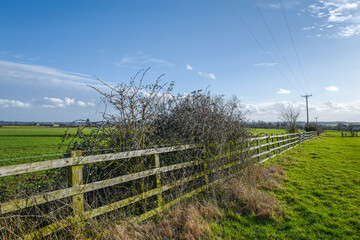 The countryside fences and public footpaths in the UK provide a network of routes for walkers. A solitary tree in a field, tracks in the ground and fences around ploughed fields.