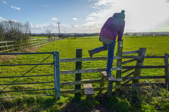 The countryside fences and public footpaths in the UK provide a network of routes for walkers 