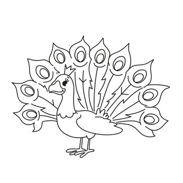 Cute baby peacock isolated for coloring on a white background. Developing task with coloring a bird for kids. Funny cartoon character peacock