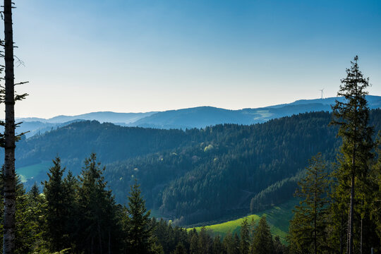 Germany, Wide panorama view above the endless green tree tops of the german schwarzwald near hausach on the summit of spitzfelsen mountain