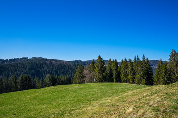 Germany, Panoramic view above green meadow, edge of the forest and blue sky in wonderful schwarzwald nature scenery