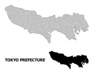 Polygonal mesh map of Tokyo Prefecture in high resolution. Mesh lines, triangles and dots form map of Tokyo Prefecture.