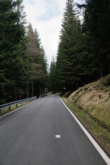 Forrest road