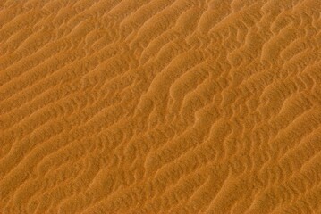 Pattern in the sand created by wind in the Namibian desert
