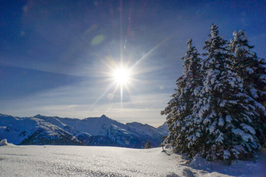 Winterbilder