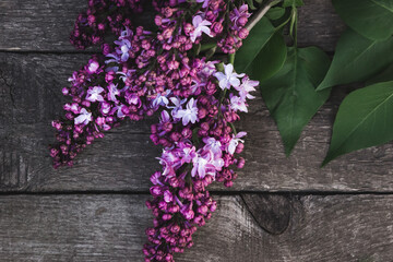 Lilac branch on an old wooden table close up