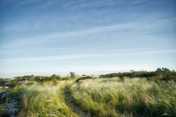 Fototapeta na wymiar sand dunes and sea