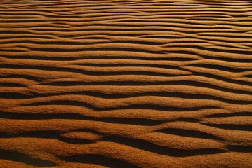 Horizontal pattern on a dune created by wind at sunset in the Namibian desert