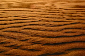 Fototapeta na wymiar Horizontal pattern on a dune created by wind at sunset in the Namibian desert