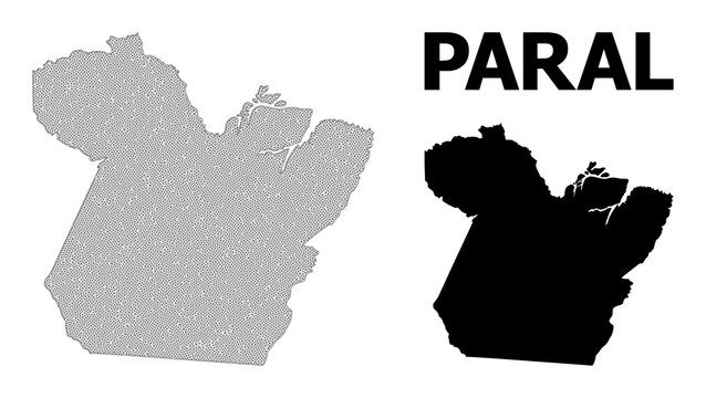 Polygonal mesh map of Paral State in high detail resolution. Mesh lines, triangles and dots form map of Paral State.