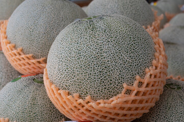 収穫されたメロン