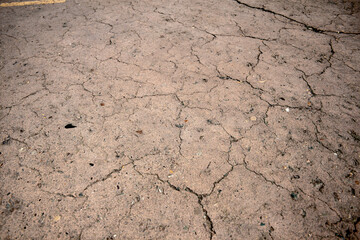 cracked asphalt