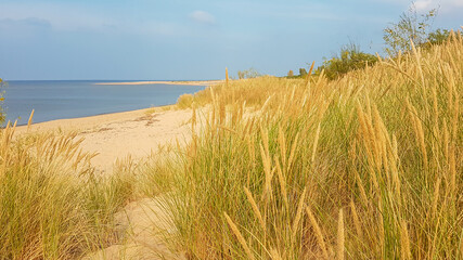 A panoramic view on the sandy beach by Baltic Sea on Sobieszewo island, Poland. The beach is scarcely overgrown with high grass. The sea is gently waving. A bit of overcast. Serenity and calmness