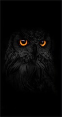 black and white owl angry look 