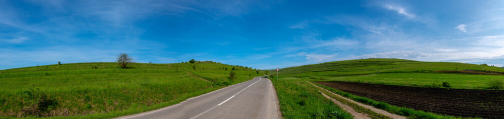 Fototapeta na wymiar Panoramic view, asphalt road leading through green agricultural fields at springtime.