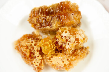 お皿に乗せた蜂の巣とはちみつ