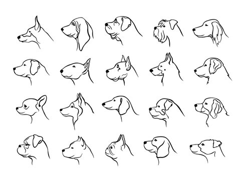 collection of dogs heads profile side view portraits silhouettes in black color
