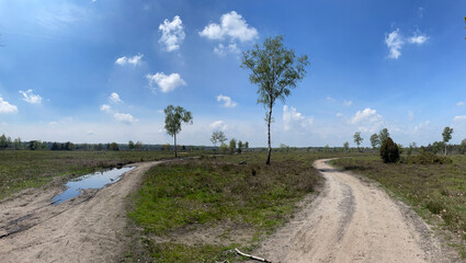 Scenery of the sallandse heuvelrug national park