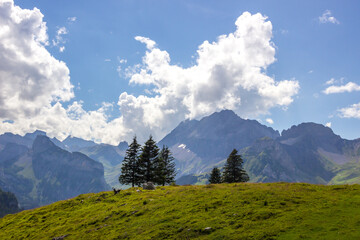 Obraz premium The Kandersteg Valley and mountain pastures in Switzerland 