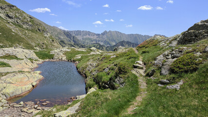 Pequeña balsa natural de agua junto a sendero rodeado de vegetación de alta montaña y desde donde se ven altos picos del Pirineo con restos de nieve en pleno verano.
