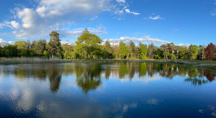 Fototapeta na wymiar Panorama from a lake in the forest around Beerze