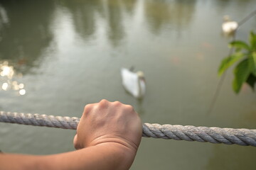 The right hand of a white Asian man gripped the Manila rope tightly as he watched geese and fish swimming in the public pool. Blurred nature background
