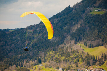 paraglider in the mountains. Extreme sports, on a forest background