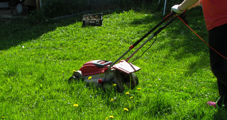 Obraz na płótnie Canvas mowing the lawn with lawnmower
