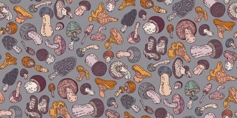 Mushrooms seamless pattern are hand-draw, doodle graphic. Autumn forest. Vector illustration. Colored trendy Flat design. Outline style. For Textile, Wallpaper, wrapping paper, Card design.