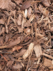 Wood chip bark chippings having been shredded for use as a garden mulch by the lumber timber...