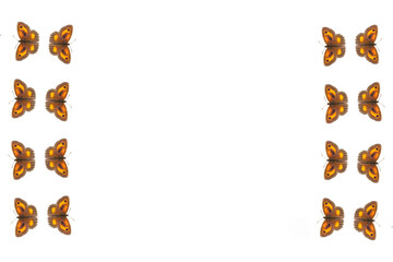Gatekeeper Butterfly border frame background (Pyronia tithonus) commonly known as Hedge Brown cut out and isolated on a white backdrop with copy space, stock photo image