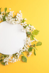 Elegant floral composition with paper round blank in the centre of  yellow background. Branding mock up, holiday marketing concept. Composition of cherry and white flowers is lined with frame around. 