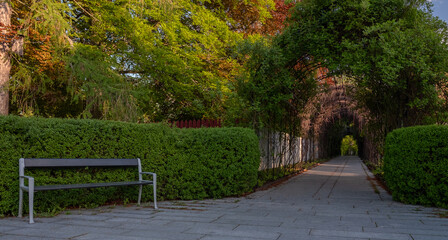 Bench against dense green hedge leading into walkway under arches