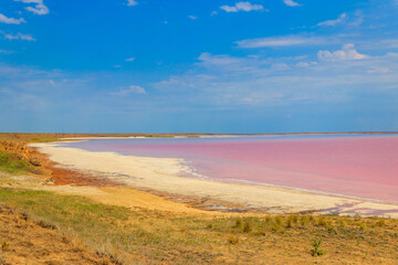 View of the pink salty Syvash lake in Kherson region, Ukraine