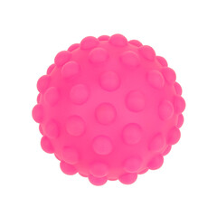 Spiny ball dog bone pet toy isolated on white background