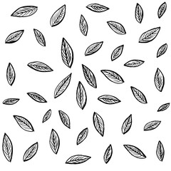 Pattern of tropical leaves isolated on white background. Floral Design elements. wedding invitations, greeting cards, blogs, posters. vector - Illustration