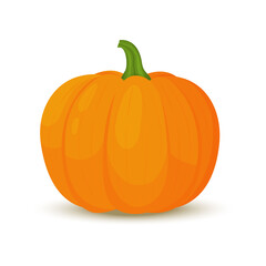 Pumpkin icon in flat style. Isolated object. Pumpkin logo. Vegetable from the farm. Organic food. Vector illustration.